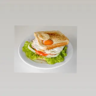 Sándwich especial