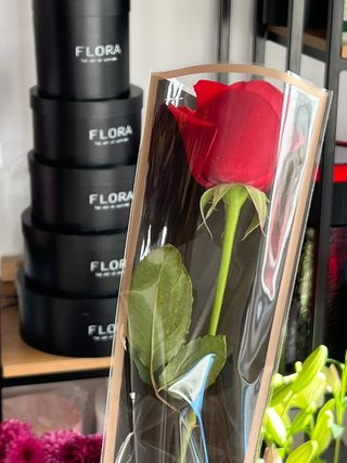 Rose Premium Quality