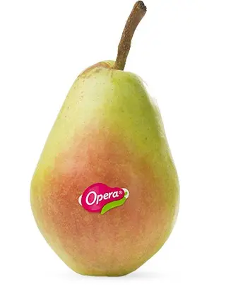 Pere opera