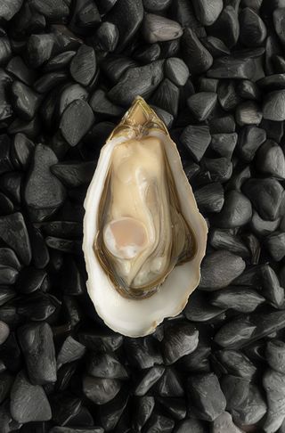 Ostras Speciale Normandia N2 (12 Uds.)