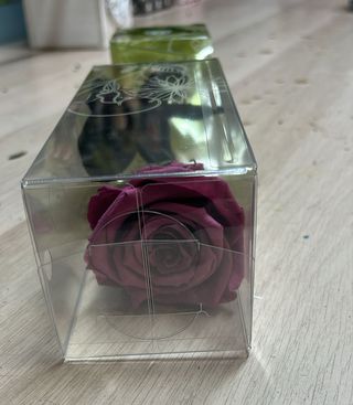 Rosa Preservada Roja