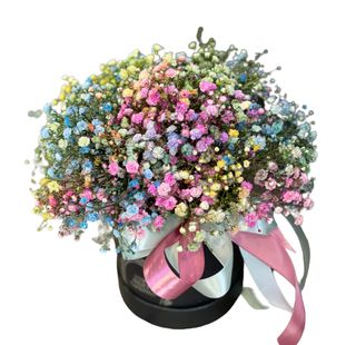 Flower box z kolorowej gipsówki 