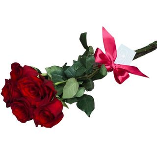 Buchet cu 7 trandafiri rosii legati cu fundita