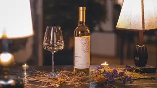Tvishi - Vismino