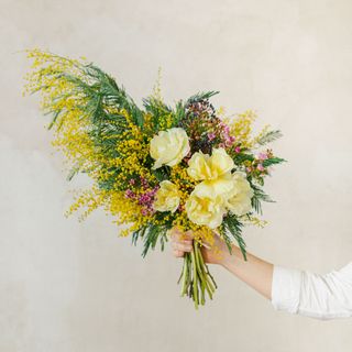 Ramo de flores de mimosa y tulipanes blancos S