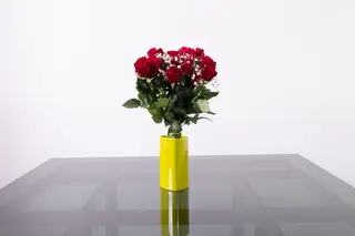 1 rosa rossa a gambo corto 