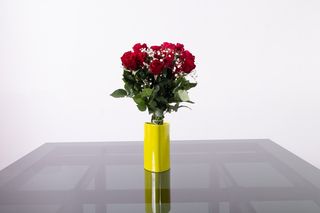 1 rosa rossa a gambo corto 