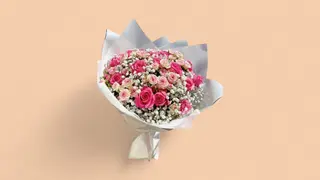 სპრეი გიფსოლია mix