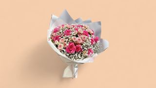 სპრეი გიფსოლია mix