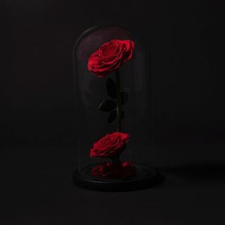 Rosas Eternas en Cúpula (2ROSA)