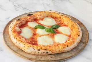 Regina Margherita