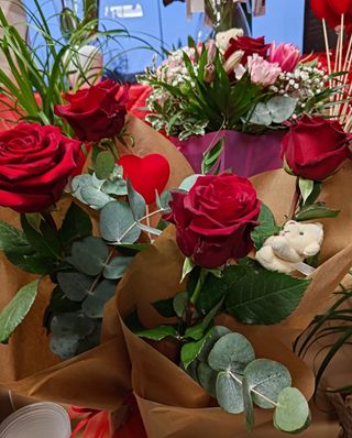 Rosa rossa singola
