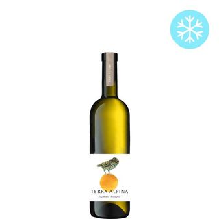 Terra Alpina Bianco BIO - freddo