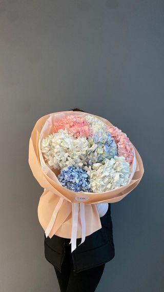 Облачные гортензии 7 шт