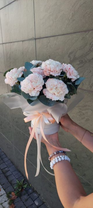 Flowerboz z goździkami