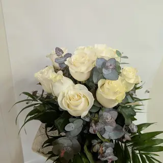 White velvet