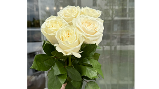 Bukiet Ivory Touch z 5 białych róż