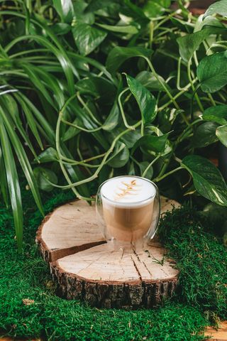 ЛАТТЕ НА АЛЬТЕРНАТИВНОМ МОЛОКЕ (200 мл.)