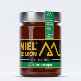 Miel de  León Bosque 450 Grs.