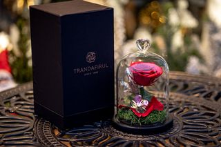 Trandafir criogenat roșu 