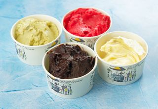 Premium sladoled 0.5kg