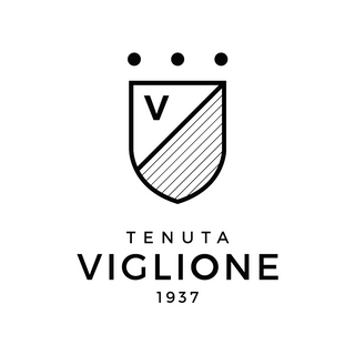 Falanghina, cantine Viglione 