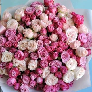 სპრეი ვარდების მიქსი