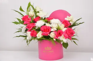 Fuchsia Éclat