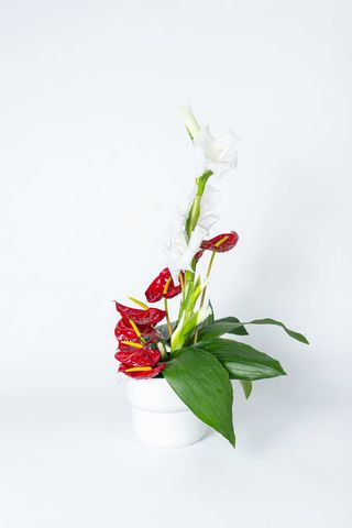 Floral Fusion