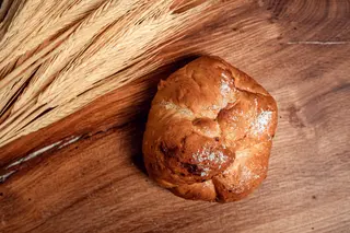 Brânzoaică