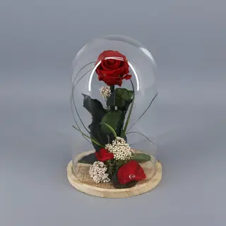 Cúpula Rosa Eterna