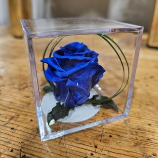 Cubo con Rosa ETERNA AZUL