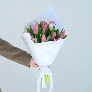 13 ცალი ჰოლანდიური ტიტა