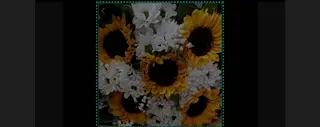 Bouquet misto girasole Rosa rosso gerbere campo Bianco campo misto