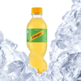 Boiss Gaz Agrum Pet 30Cl Schweppes