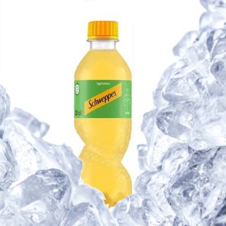 Boiss Gaz Agrum Pet 30Cl Schweppes