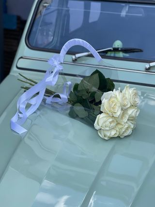 New fashion pochette