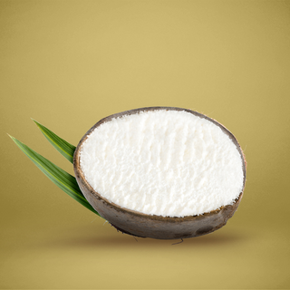 Helado de Coco