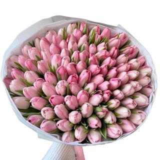 #2 101szt różowych tulipanów