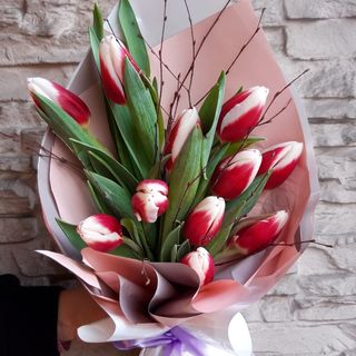 Buchet cu 11 lalele color