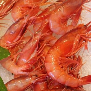 Crudo di gamberi su letto di arancia con caviale 