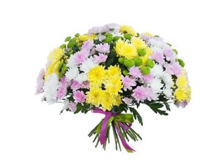 21 Хризантеми, Микс | 1 pieces