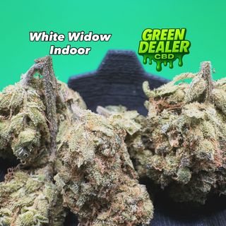 White Widow CBD 5gr