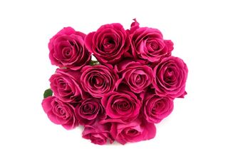 13 Рози,розови