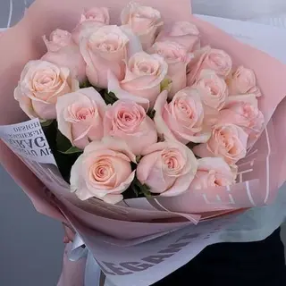 Rosas Rosas 17 Uds.