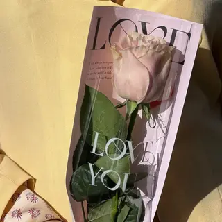 The Pink Rose