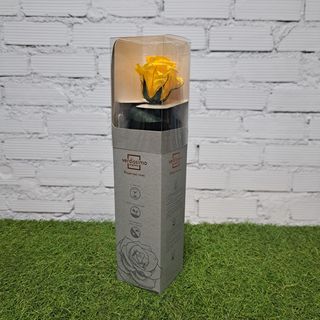 Rosa preservada amarilla