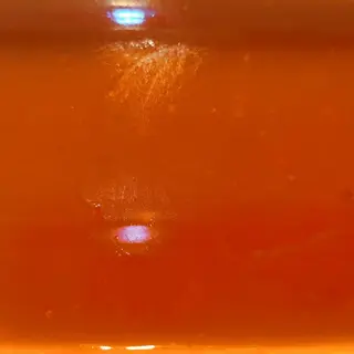 Salsa Agridulce Grande