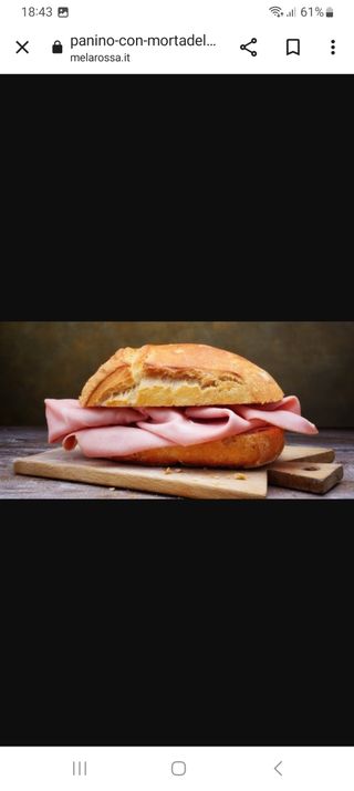 Panino mortadella