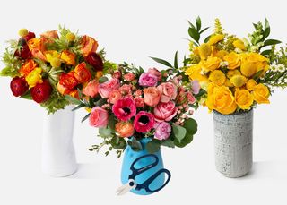 Ramo de Autor Triple